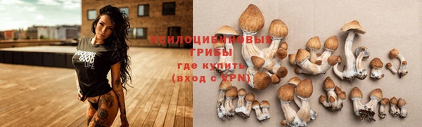прущая мука Осинники