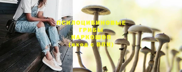 прущая мука Осинники