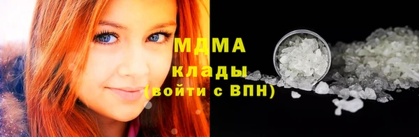 индика Нязепетровск