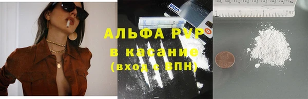 индика Нязепетровск