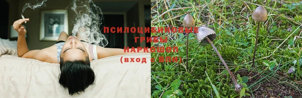 дмт Остров