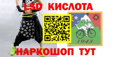 гашик Кандалакша
