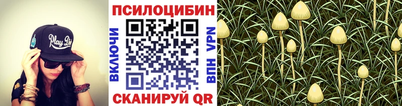 Псилоцибиновые грибы MAGIC MUSHROOMS  Сафоново 