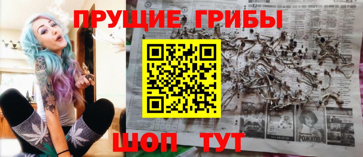 Псилоцибиновые грибы мицелий  Сафоново 