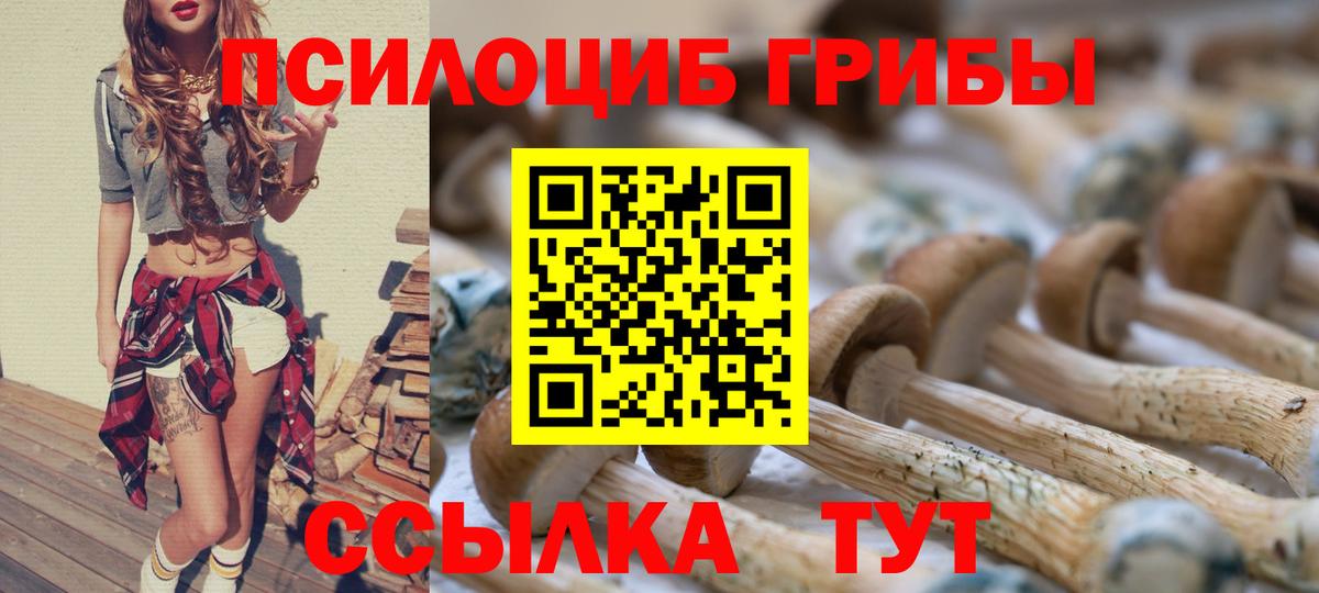 Псилоцибиновые грибы GOLDEN TEACHER  Галлюциногенные грибы мицелий  Вход с VPN  Сафоново 